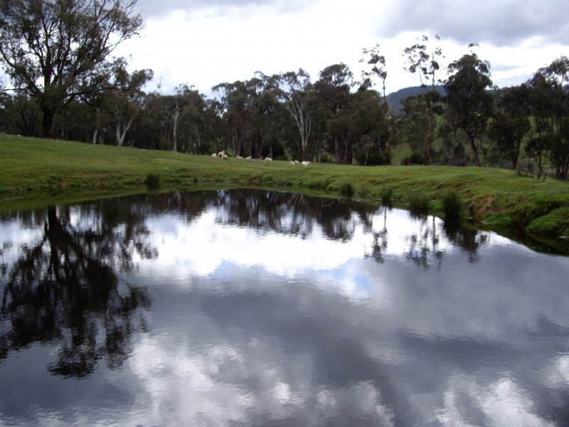 1236 Tooma Road, Tumbarumba NSW 2653