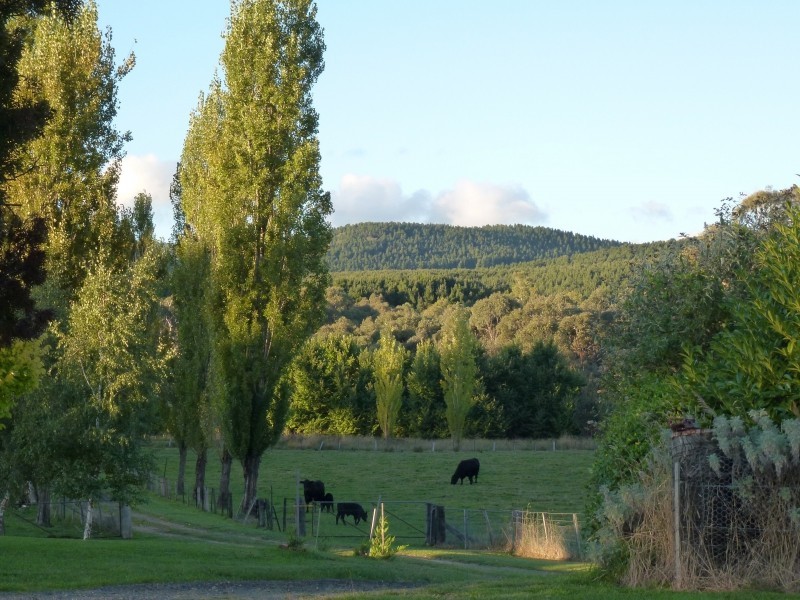 1236 Tooma Road, Tumbarumba NSW 2653