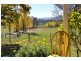 1236 Tooma Road, Tumbarumba NSW 2653