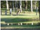 239 Neath Road, Kearsley NSW 2325
