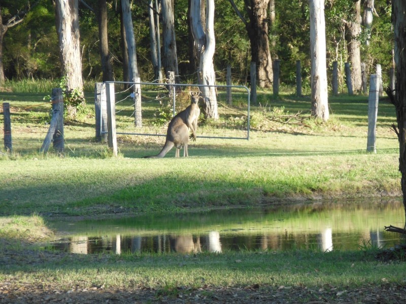 239 Neath Road, Kearsley NSW 2325