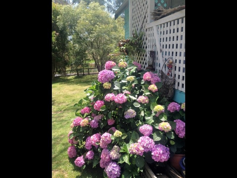 179 Medeas Cove Road, St Helens TAS 7216