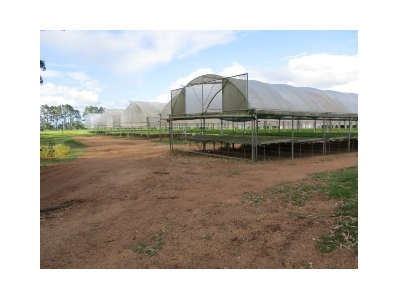 Atherton QLD 4883