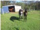 74 Burgess Road, Calico Creek QLD 4570