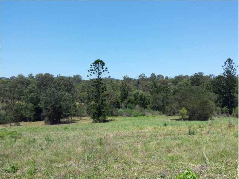 74 Burgess Road, Calico Creek QLD 4570