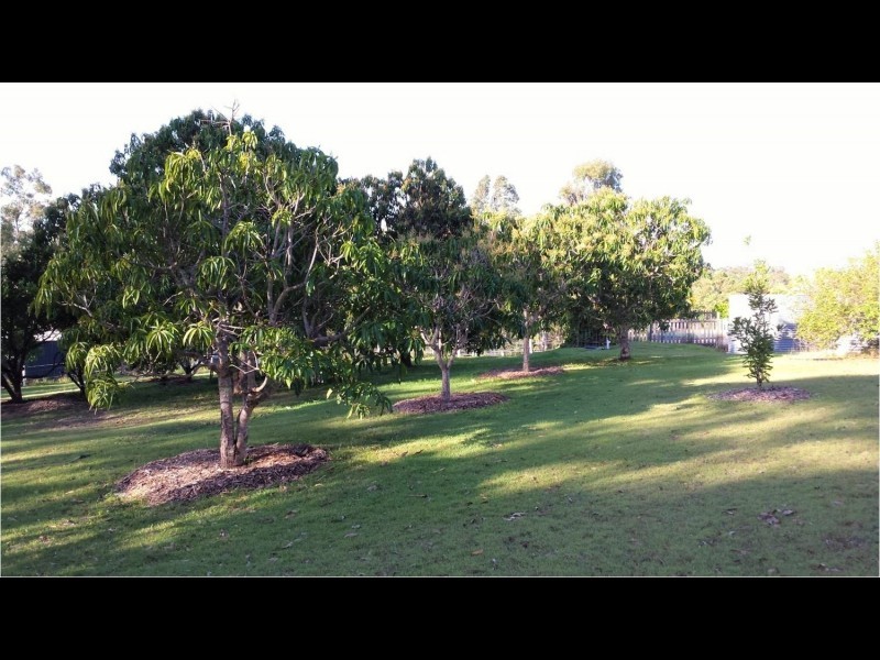 74 Burgess Road, Calico Creek QLD 4570