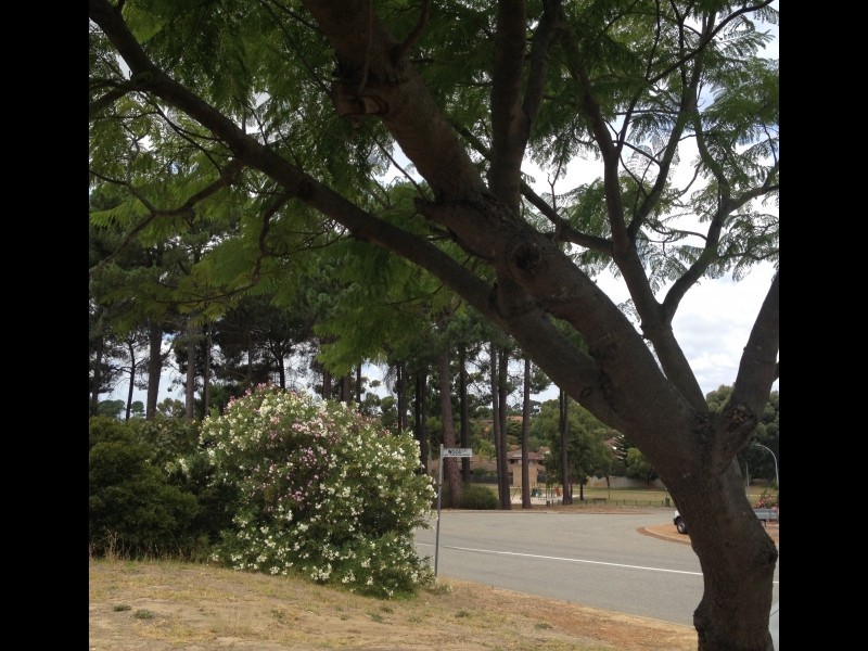 1 Gillett Drive, Kardinya WA 6163