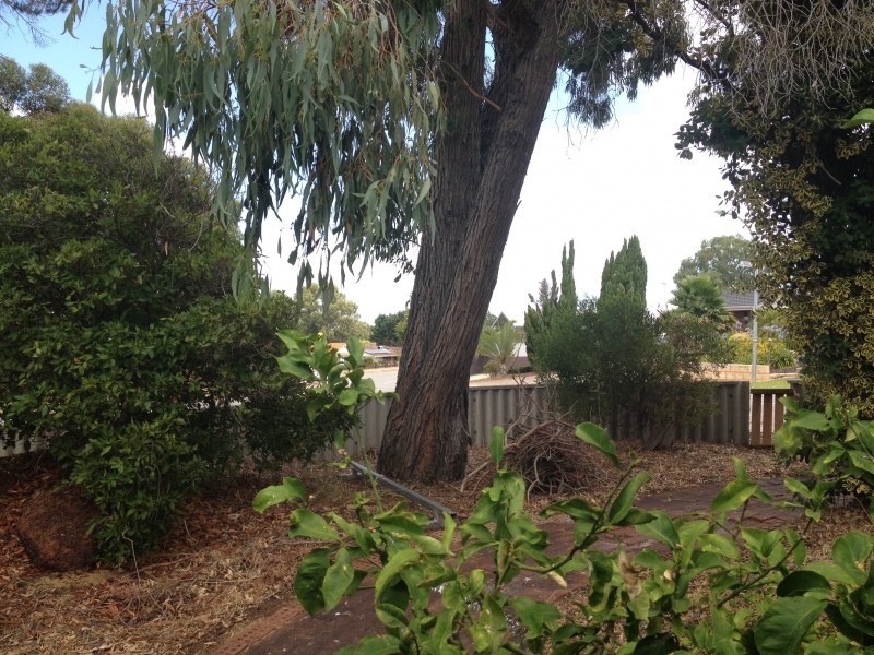 1 Gillett Drive, Kardinya WA 6163