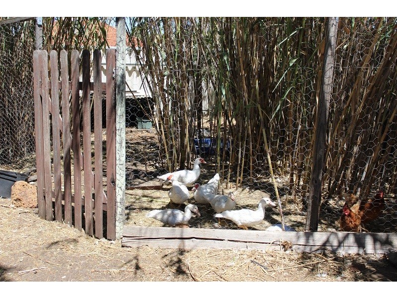 37 Wattle crescent, Wundowie WA 6560