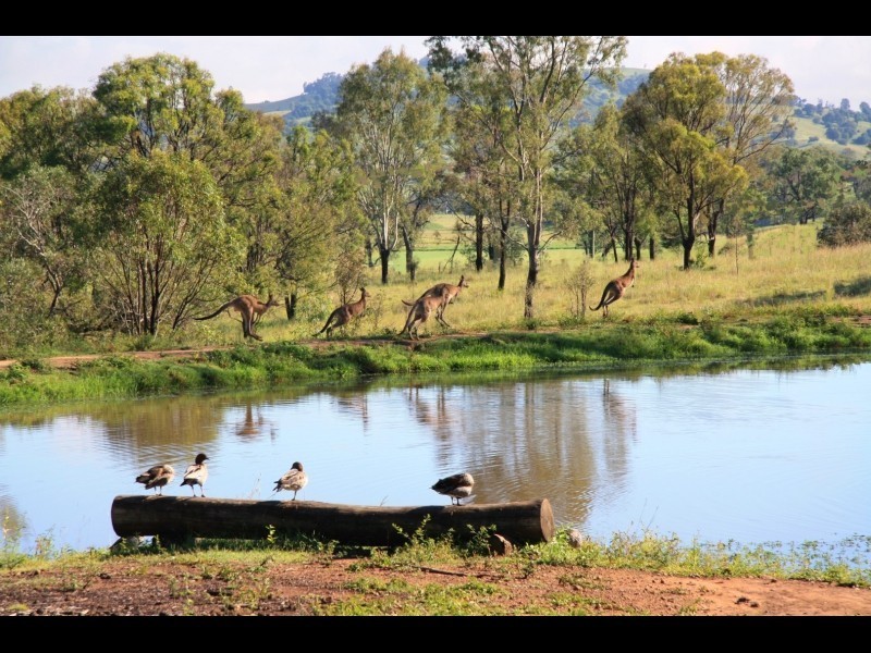 Wallaces Creek QLD 4310