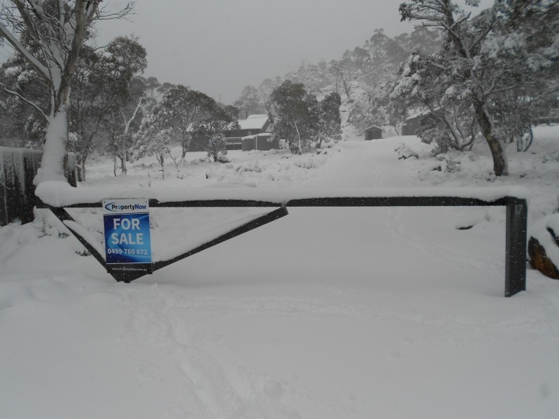 21 Cider Gum Road, Miena TAS 7030