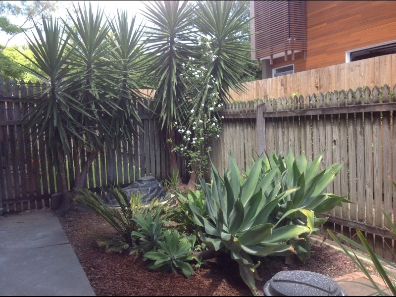 2/31 Bowen Street, Windsor QLD 4030