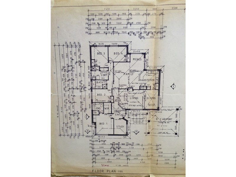 Kallaroo WA 6025 Floorplan