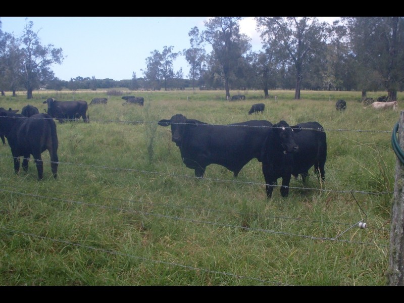 759 Moto Road, Moto NSW 2426