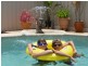 8 kemp street, Cumbalum NSW 2478