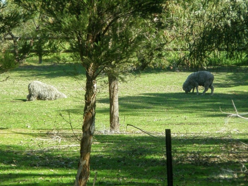 11 Brompton Heights, Gidgegannup WA 6083