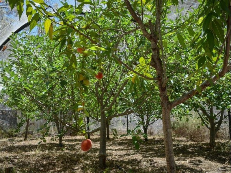 11 Brompton Heights, Gidgegannup WA 6083