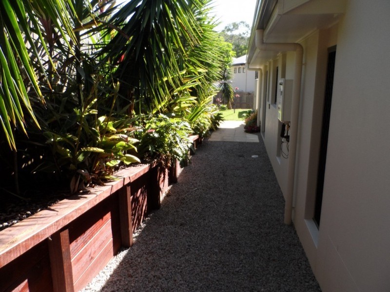 18 Ringtail Place, Bli Bli QLD 4560