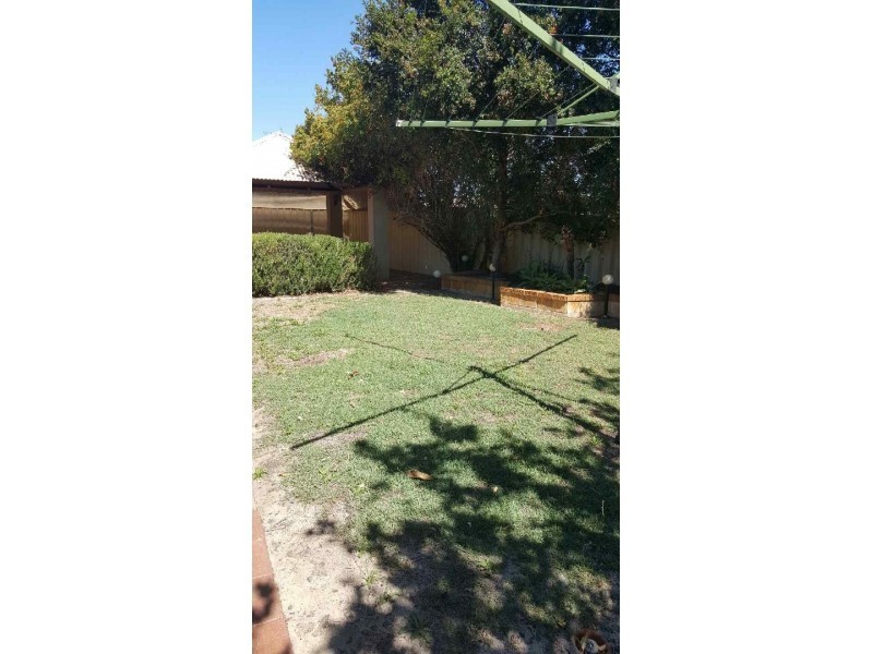66 Dampier Loop, Mirrabooka WA 6061