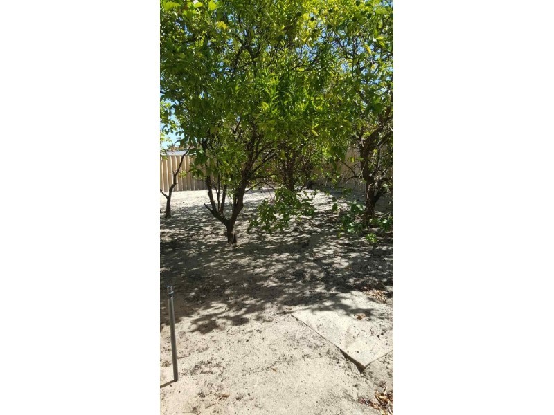 66 Dampier Loop, Mirrabooka WA 6061