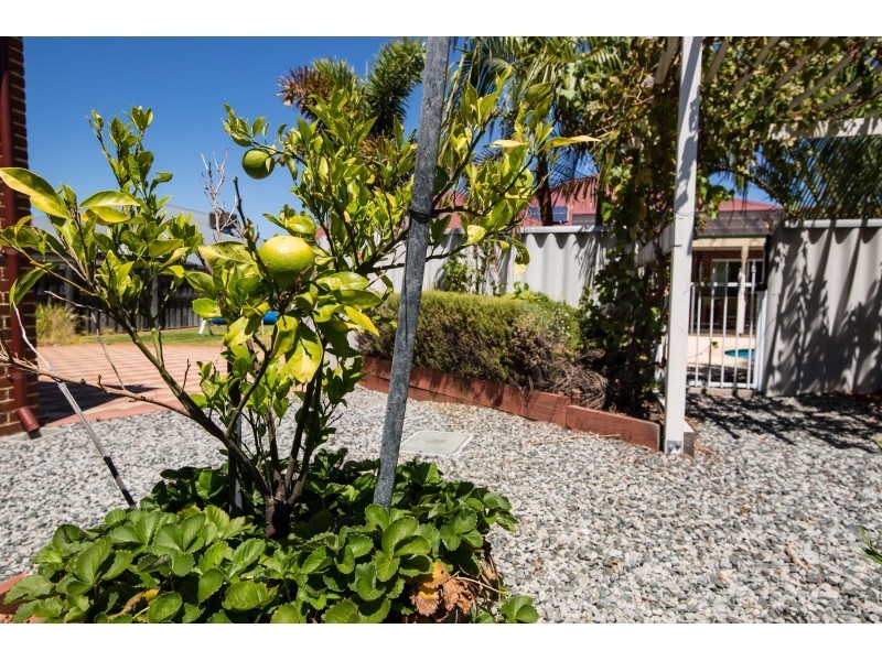 7 Brookmount Drive, Ellenbrook WA 6069