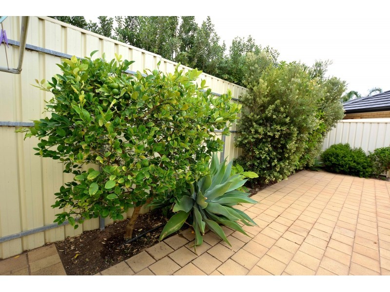 6/37-39 Albany Avenue, Port Noarlunga South SA 5167