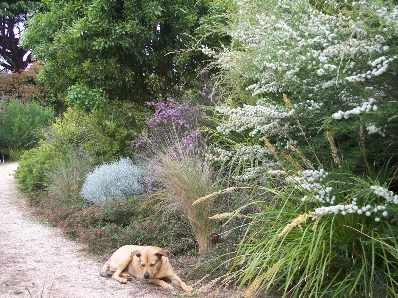 107 Kayena Road, Kayena TAS 7270