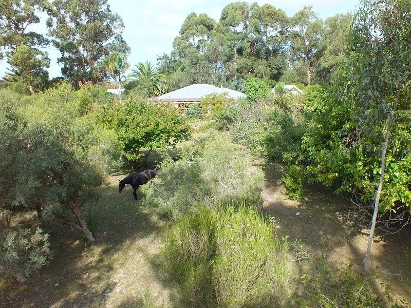 16 kemsley place, Denmark WA 6333