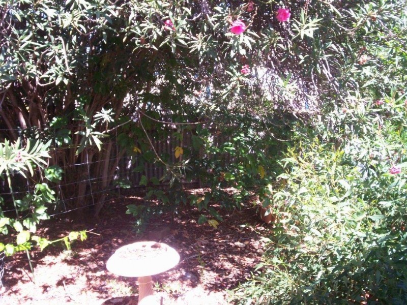 11 Church Street, Woomelang VIC 3485