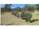 53 McQuire Road, Wattle Camp QLD 4615