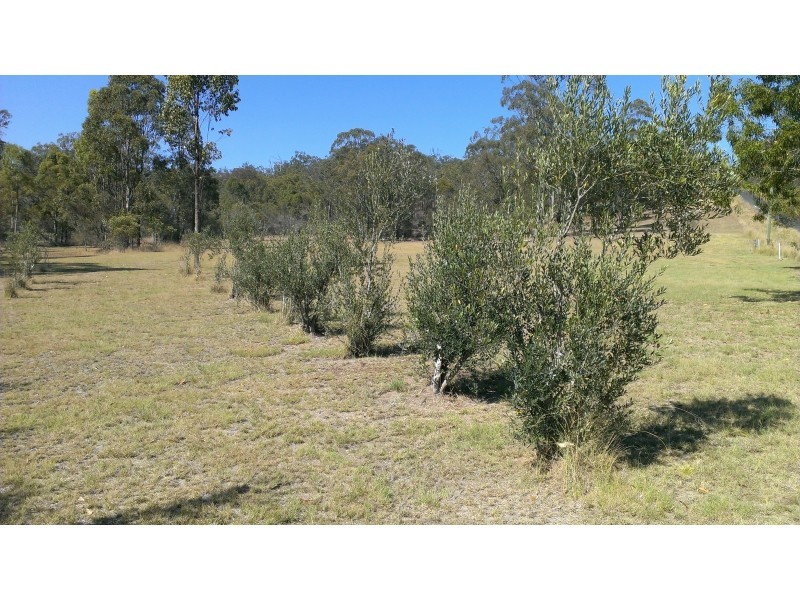 53 McQuire Road, Wattle Camp QLD 4615