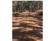 53 McQuire Road, Wattle Camp QLD 4615