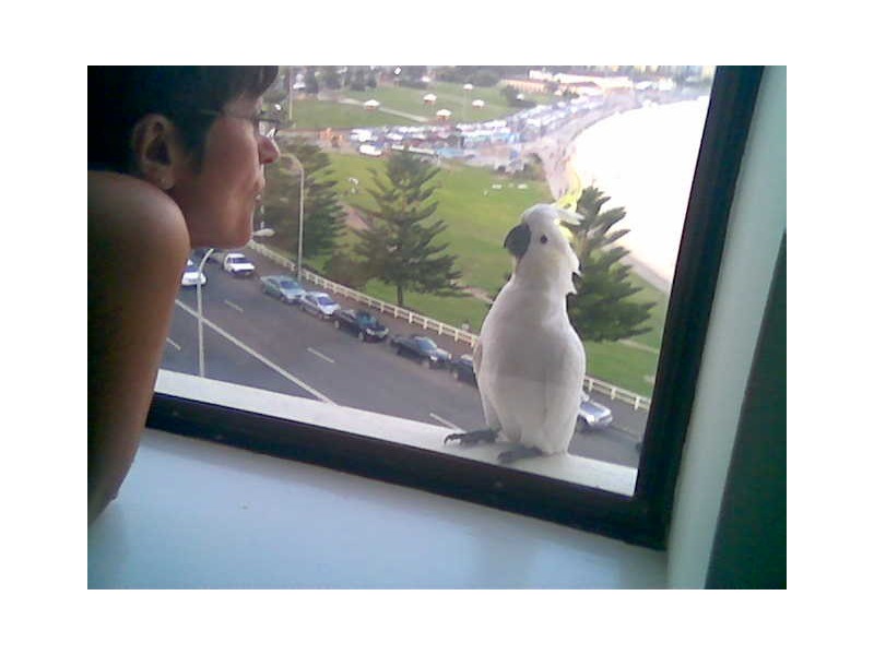 34 Campbell Parade, Bondi Beach NSW 2026