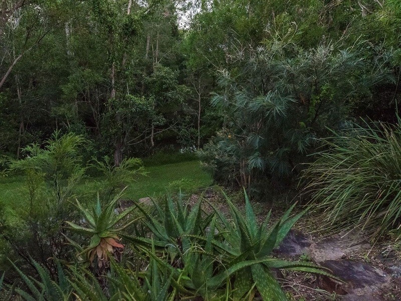 5 Finney court, Tewantin QLD 4565