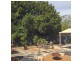 6 Venus Street, Bateman WA 6150