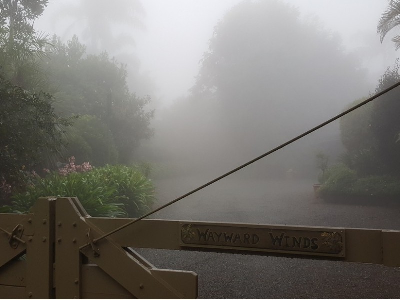 Tamborine Mountain QLD 4272