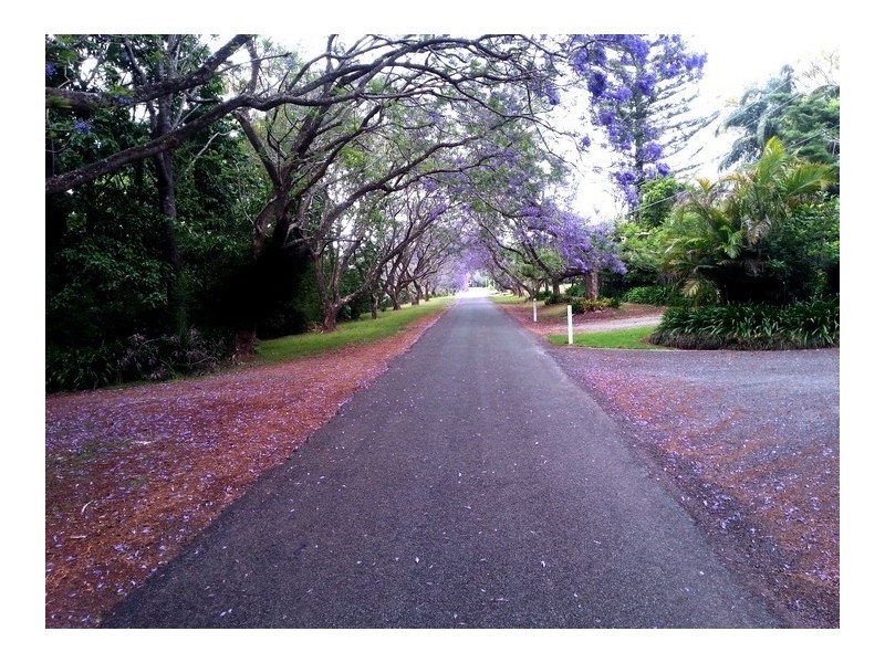 Tamborine Mountain QLD 4272