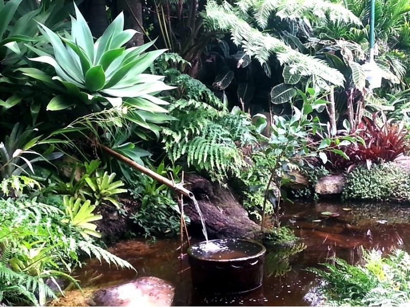 Tamborine Mountain QLD 4272