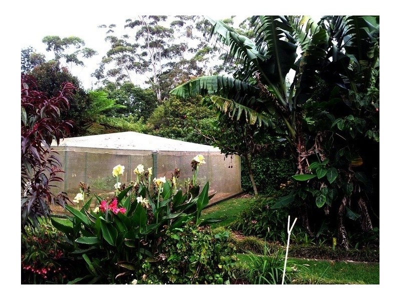 Tamborine Mountain QLD 4272