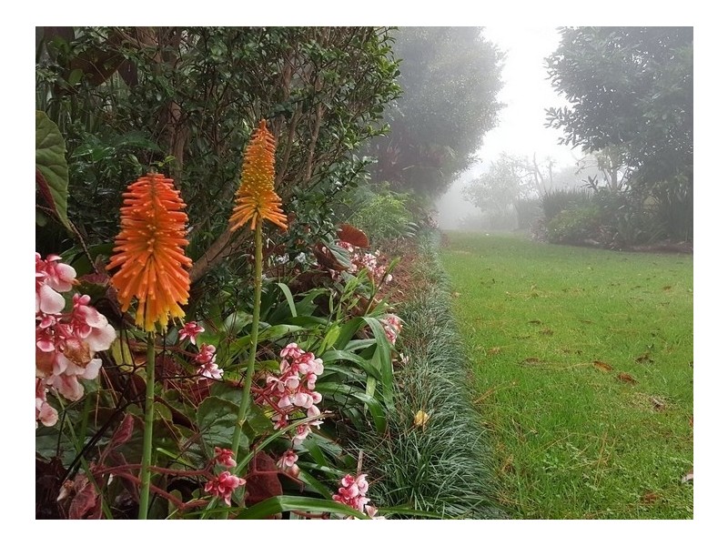 Tamborine Mountain QLD 4272
