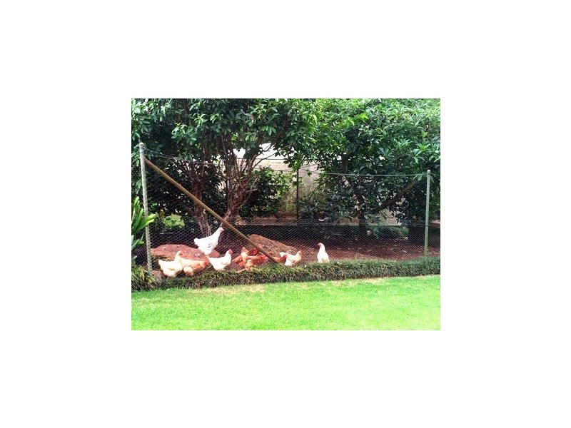 Tamborine Mountain QLD 4272