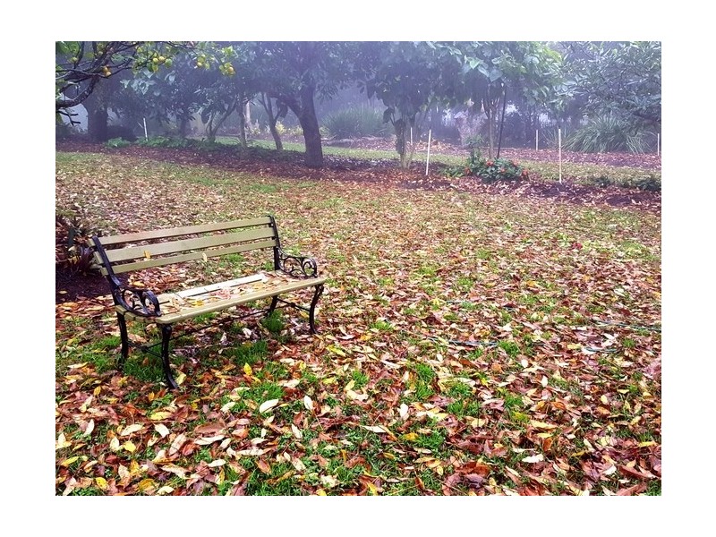 Tamborine Mountain QLD 4272