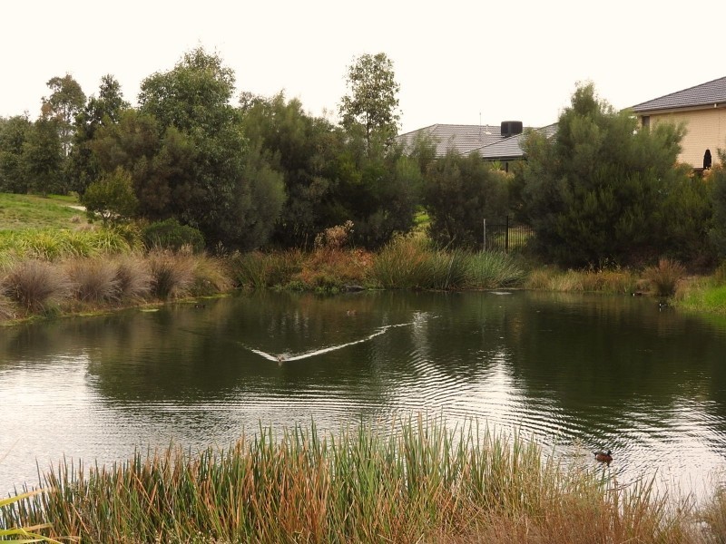 8 Malua Circuit, Sandhurst VIC 3977