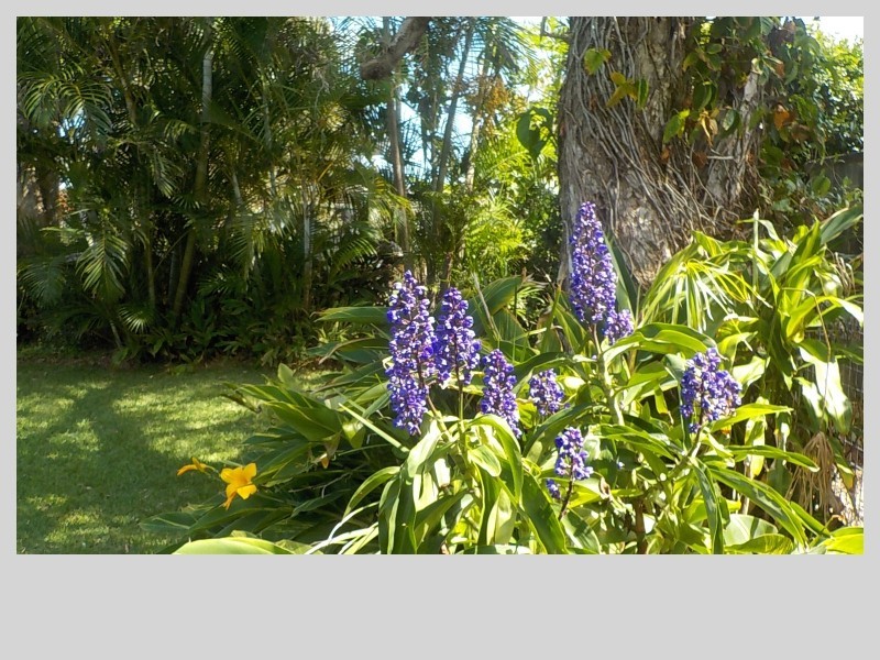 23 Ford Street, Red Rock NSW 2456