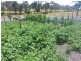 45 Gees Marsh Road, Bellingham TAS 7254