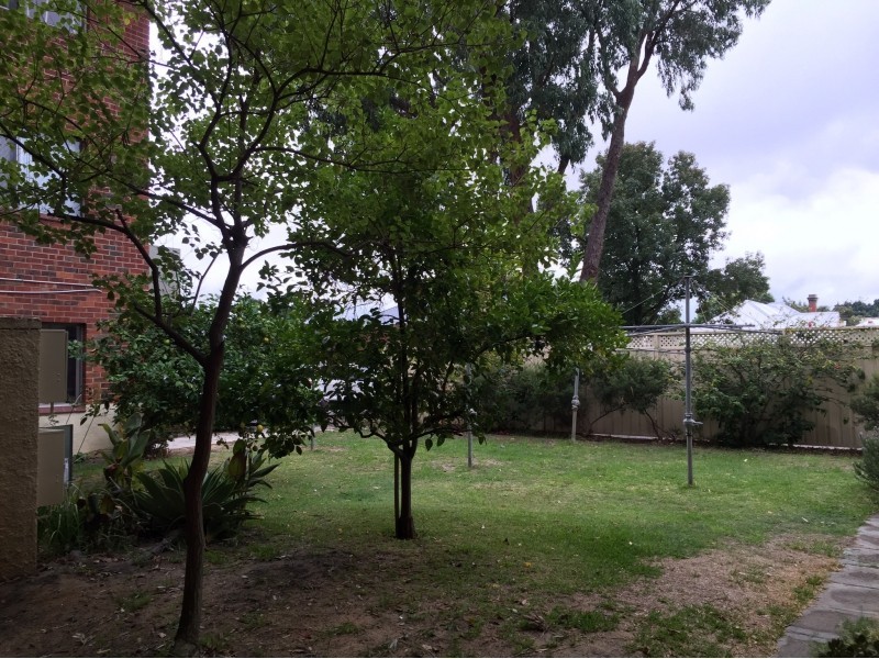 17/144 Lincoln Street, Highgate WA 6003