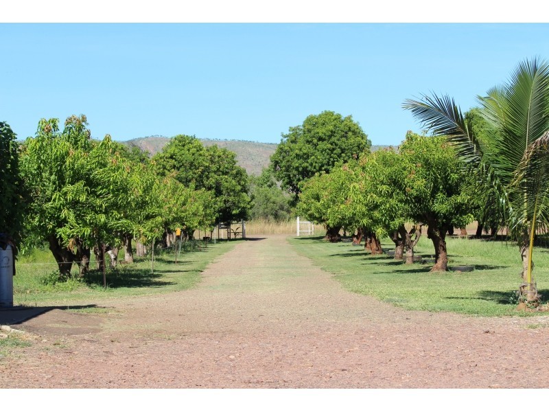 638 Packsaddle Road, Kununurra WA 6743