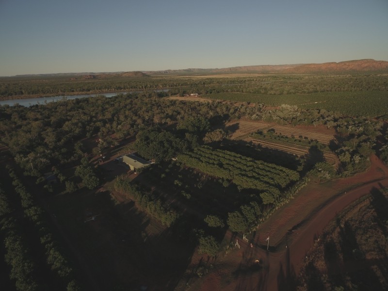 638 Packsaddle Road, Kununurra WA 6743