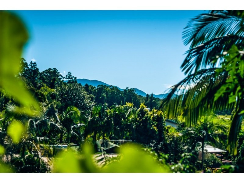 19 Casuarina Avenue, Bellingen NSW 2454