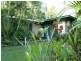 7 Verburg Court, Stuart Park NT 0820